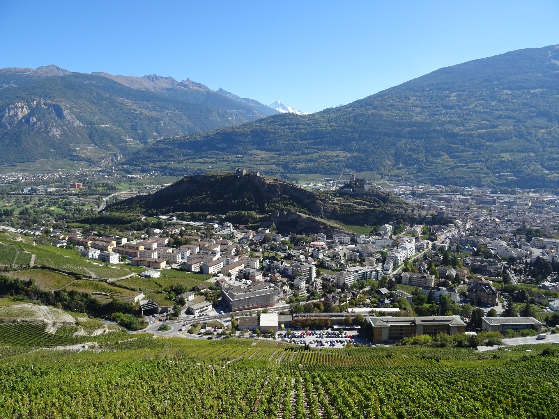 Sion
